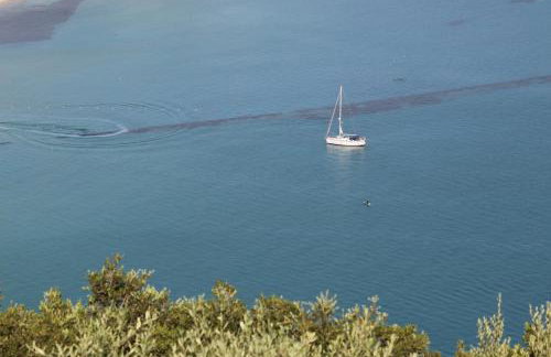 SeasoundStudios - Photo 18