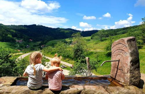 Ferienhof Fischer - Foto 73