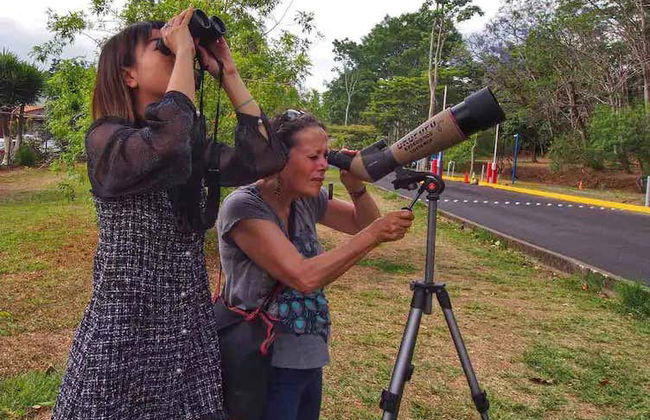 Avistamento de aves e bichos-preguiça em San José - Foto 7