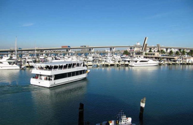 Excursión a los Everglades + Paseo en barco por Las Casas de los Famosos - Foto 2