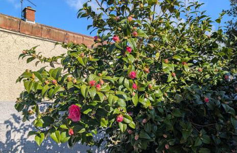 Kennedy's, Armagh - Foto 11