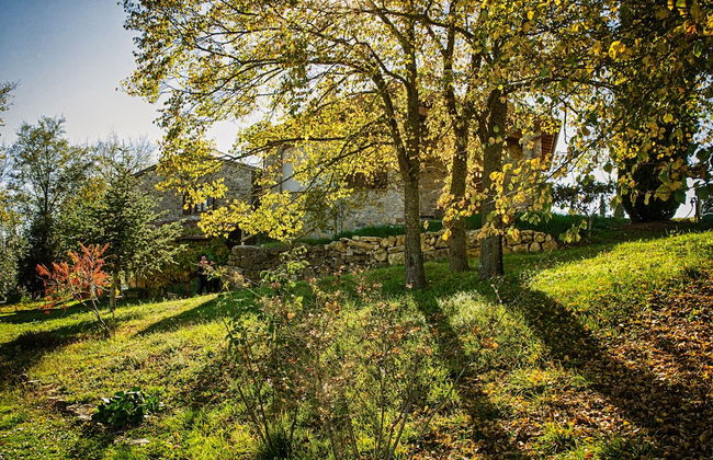 Agriturismo Casa Greppo - Il Melograno - Foto 33