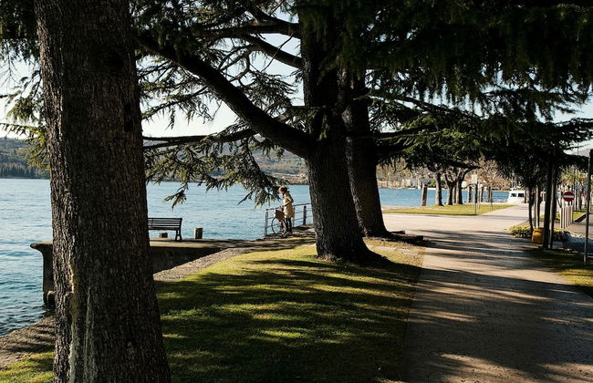 Alma - Near Lake in Sal - Photo 1