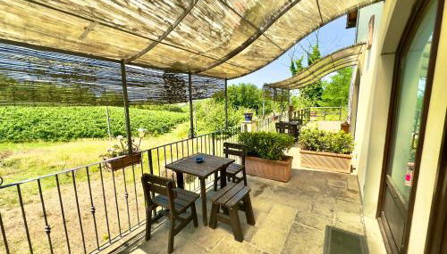 Agriturismo il Pino - Bioagricoltura - Foto 1