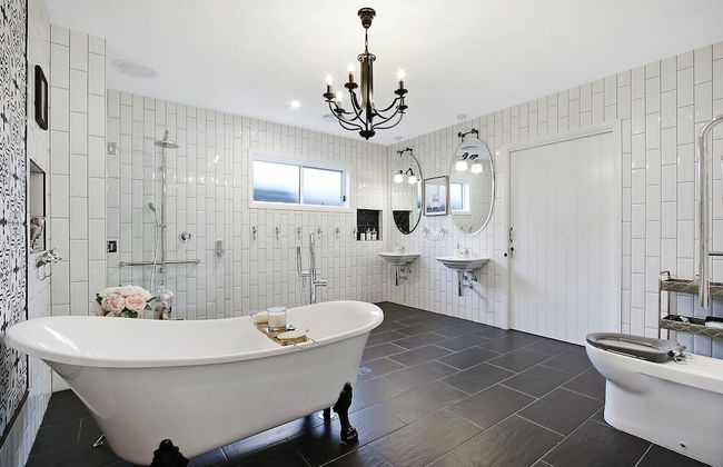 The Silver Bull All Abilities - Foto 15