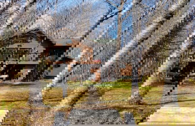 Fish Tails - Photo 1