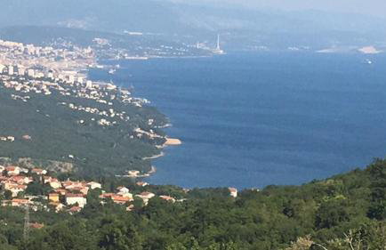 Apartment Gina - Photo 17