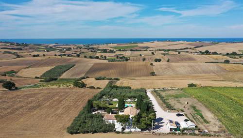 L'Ulivo Bianco - Foto 2