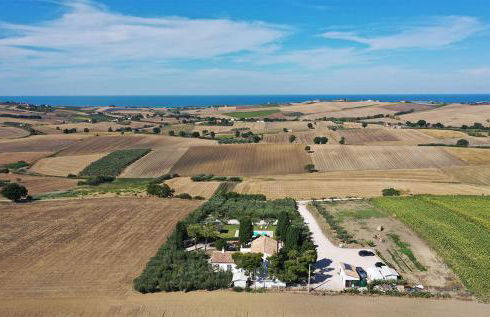 L'Ulivo Bianco - Foto 2