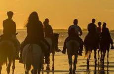 Apartamento Zenobia - Foto 16