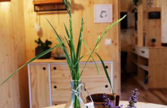 HJEM - Tiny Homes direkt am Wald zwischen Allgäu & Bodensee - Foto 49