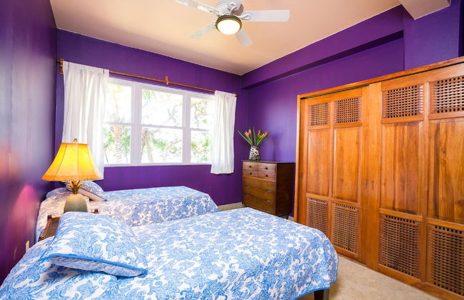 Yellow Bird - Foto 5