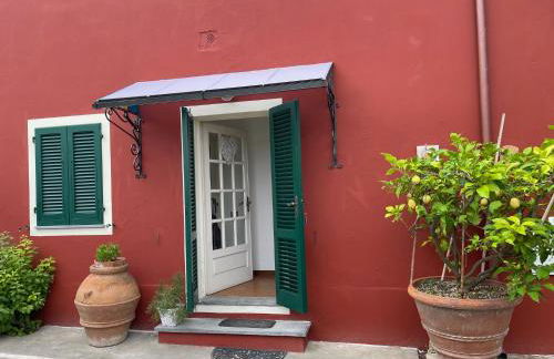 Il Piccolino - Foto 2