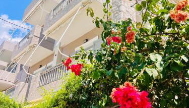 Aloe Luxury Apartments - Foto 5