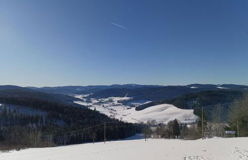 Ferienwohnung Rehblick Oberbränd - Foto 12