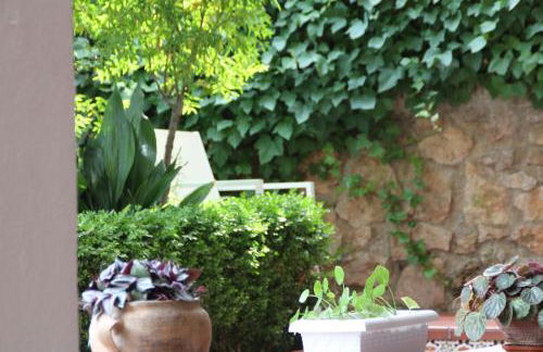 El jardín de la abuela - Foto 39