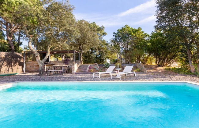 Castanyer in Lloret de Mar - Foto 19