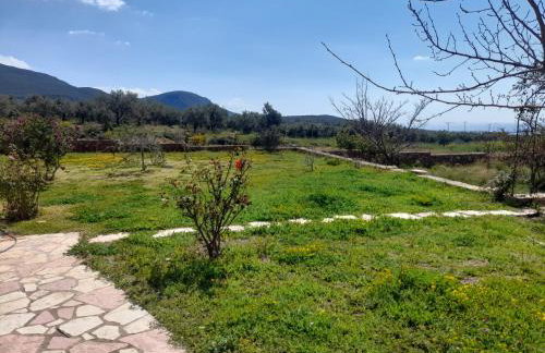 "Villa Othon-Leni" - Panoramic Sea View & Traditional Luxury - Photo 7