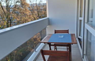 Appartement T3 GEO ANDRE - Foto 9