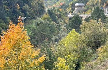 CALMFRANC ático abuhardillado con vistas al río y la montaña Avistamiento de ciervos en Canfranc Pueblo - Foto 69