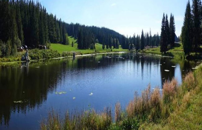 Gemutliche Wohnung in Schwenningen - Foto 35