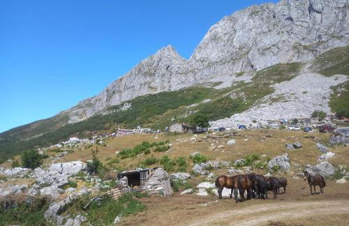 Casa Cuevas - Foto 8