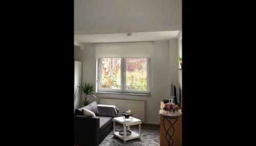 NEU! Ferienwohnung Rheingau - Foto 3