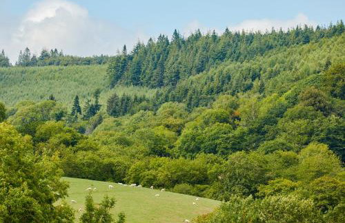 The Carriages - Foto 23