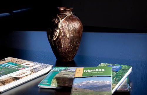 Mas Pinoses - Foto 12