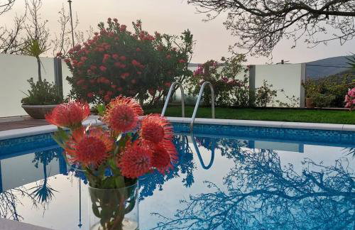 CasaT5, Férias, Piscina Privativa. Águeda, Aveiro - Foto 9