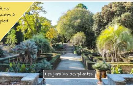 Appartement avec beaucoup de cachet central et calme - Foto 45