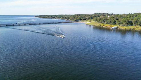 Flint Palestine Lakefront Retreat Firepit BBQ - Foto 1