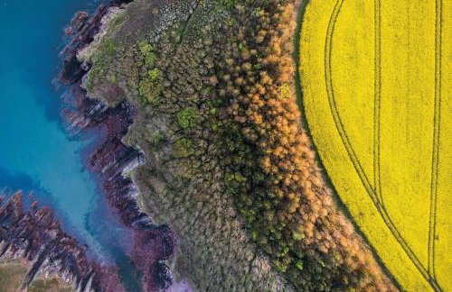 Caradog - 1 Bedroom - St Ishmael's - Foto 115