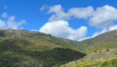 Casa dos Manels - Photo 2