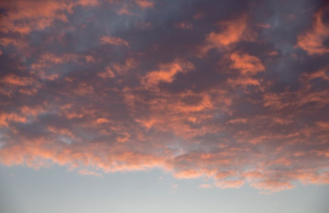 Dog Friendly Shepherd's Hut, Perfect for Couples - Photo 17