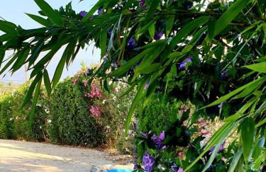 VILLA PROVIDENCIA - Foto 32