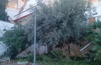 Cala Salions Balandro II Tossa de mar - Foto 17