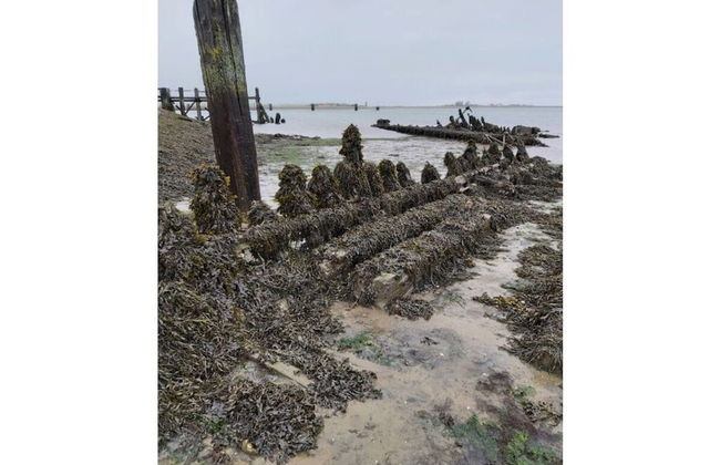 No Title Modern Retreat - Photo 10