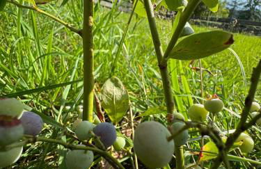 BERG WELT im Erzgebirge - Photo 41