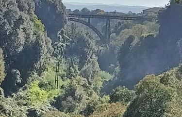 Pagliari12 - Foto 15