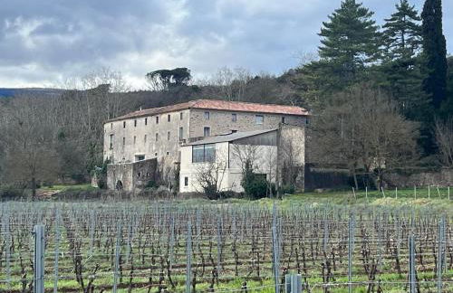 Domaine de Coubillou - Foto 64