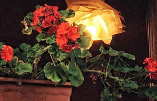 Sol de Asturias - Foto 18