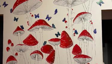 La casa di Alice - Casa Natura - Foto 2