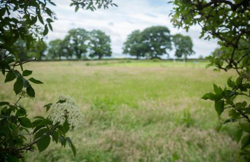 West Wing Cottage - Photo 25