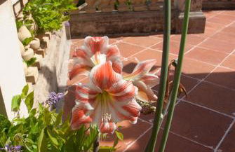 Casa de las Vistas - Photo 53