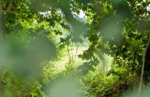 Casa Ponte da Vessada - Foto 47