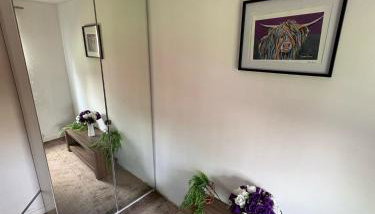 Cloverdale Aparthotel - Foto 4, wardrobe