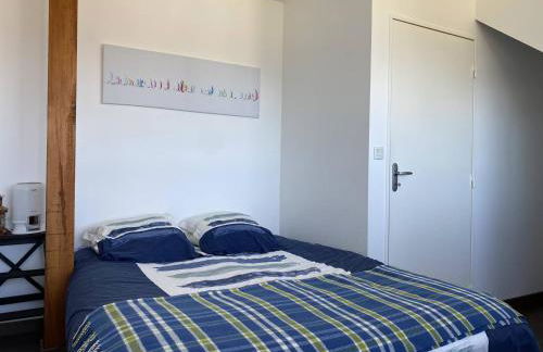 352 - Appartement T2 avec une vue imprenable sur le Cap Fréhel - Foto 9