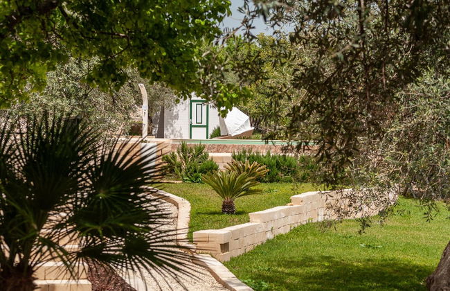 Tenuta Olive Alive - Foto 2