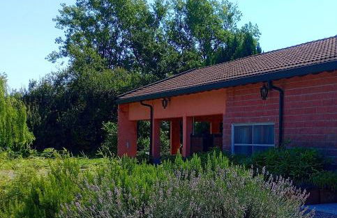 Vivai Natura Country Loft - Foto 1